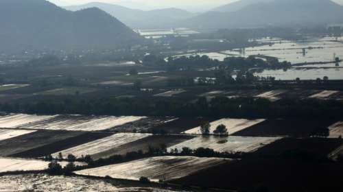 Κακοκαιρίες Daniel-Elias: Αύριο η εκκαθάριση πληρωμών 4,1 εκατ. ευρώ σε κτηνοτρόφους