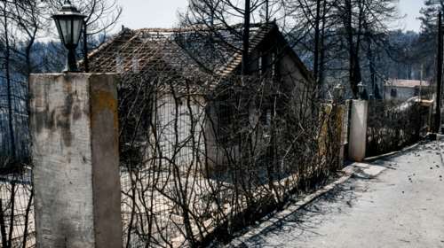 Αττική: Εικόνες βιβλικής καταστροφής - Περιπολίες στα καμένα - Ανησυχία ενόψει νέου καύσωνα