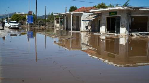 Κακοκαιρία Daniel: Μάχη με τον χρόνο και τις λάσπες στον θεσσαλικό κάμπο - Υγειονομική &quot;βόμβα&quot; τα νεκρά ζώα