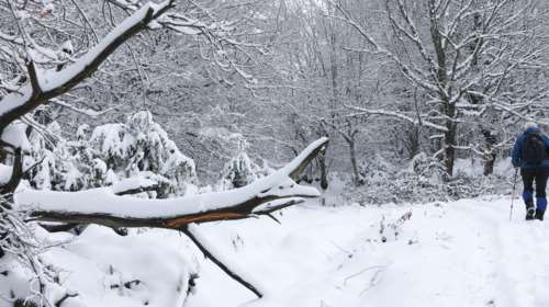 Πρόγνωση Μαρουσάκη: Χιόνια και σε χαμηλά υψόμετρα τις επόμενες ώρες - Τσουχτερό κρύο στην Αττική - Η εξέλιξη της κακοκαιρίας