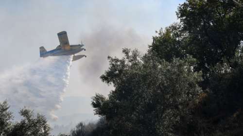 Φωτιά στον Εβρο: Μάχη για να σωθεί το δάσος της Δαδιάς - Μεγάλη επιχείρηση της Πυροσβεστικής, σηκώθηκαν τα εναέρια μέσα