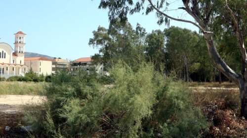 Καθαρισμός οικοπέδων: Τι πρέπει να κάνουν οι πολίτες με τις δηλώσεις - Τα πρόστιμα και η προθεσμία