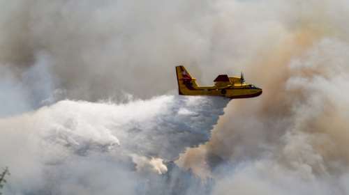 Εβρος: Πύρινη κόλαση στο δάσος της Δαδιάς - Στην κατάσβεση μόνο ενάερια μέσα, οι πυροσβέστες δεν μπορούν να προσεγγίσουν