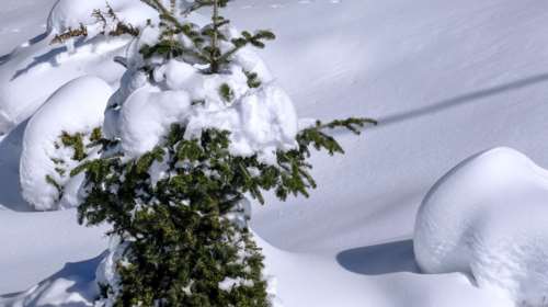 Ο καιρός της Πρωτοχρονιάς: Πώς θα κάνουμε ρεβεγιόν - Πρόγνωση μέχρι την Παρασκευή