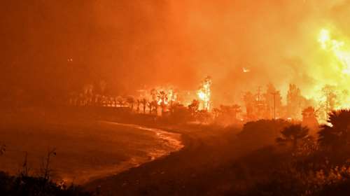 Φωτιά στον Σχίνο: 20.000 στρέμματα έχουν καεί - Από καύση υλικών σε ελαιώνα η πυρκαγιά - Δύσκολη νύχτα