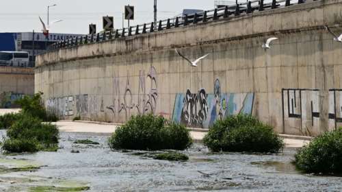 &quot;Ο Κηφισός ασφυκτιά από το τσιμέντο&quot;: Προειδοποίηση Λέκκα για τον κίνδυνο πλημμυρών στην Αττική