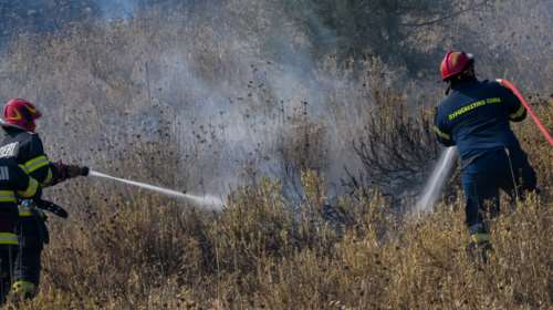 Ερχονται οι &quot;δασοκομάντος&quot; άμεσης δράσης για τις megafires: Ομάδα κρούσης με εκπαίδευση Ειδικών Δυνάμεων