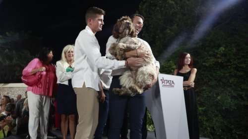 Ο Κασσελάκης κέρασε... κουλούρι τους δημοσιογράφους - "Μπάι Τάιλερ", φώναζαν στον σύντροφό του [βίντεο]