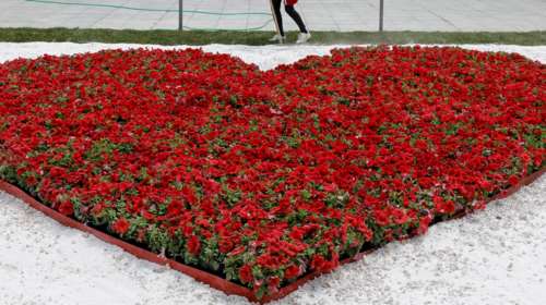 Υγεία: Πώς προσέχουμε την καρδιά μας στις γιορτές