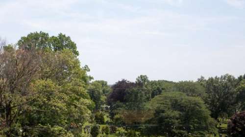 Στο Ελληνικό Δημόσιο επιστρέφουν 53.800 στρ. στην Χαλκιδική