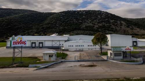 Γιατί οι Έλληνες έχουν κάνει στροφή στο... κοτόπουλο: Οι δύο λόγοι που το καταναλώνουμε περισσότερο