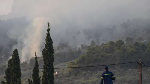 Υπό έλεγχο η φωτιά στην Κύμη Ευβοίας - Δίπλα από το νοσοκομείο [εικόνες]