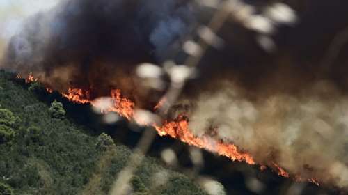 Φωτιά στη Φθιώτιδα: Εκκενώνεται η Κάτω Τιθορέα - Μήνυμα από το 112