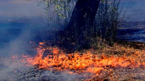 Φωτιά σε Λακωνία και Ηλεία - Συναγερμός στην Πυροσβεστική