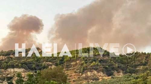 Στις φλόγες ξανά η Ηλεία: Μεγάλη φωτιά καίει δάσος κοντά στην Αμαλιάδα
