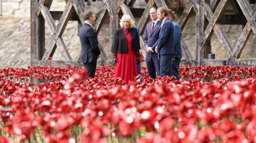 Μια παπαρούνα από τη βασίλισσα Καμίλα στον κόκκινο &quot;καταρράκτη&quot; για το τέλος του Β&#39; Παγκοσμίου Πολέμου [Εικόνες]