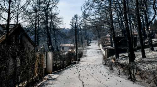 Δημοσιεύτηκε η ΠΝΠ για τις πυρόπληκτες περιοχές: Αναδασώσεις στα καμένα και μέτρα στήριξης για τους πληγέντες