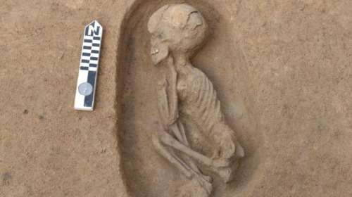 Σπουδαία ανακάλυψη στην Αίγυπτο: Βρέθηκαν σπάνιοι τάφοι της εποχής πριν από τους Φαραώ - Εντυπωσιακές εικόνες