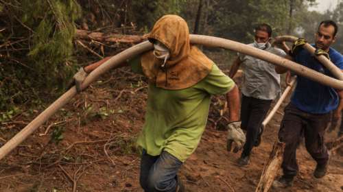 Φωτιά Εύβοια: Προσαγωγή υπόπτου για εμπρησμό στο Ασμήνιο