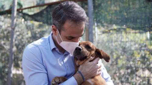 Μητσοτάκης για τα ζώα συντροφιάς: Προστατεύουμε τους μικρούς μας φίλους - Σε διαβούλευση το νομοσχέδιο