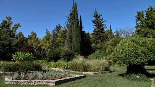 Βοτανικός Κήπος Διομήδους: Ένας περίπατος στην όαση της Αθήνας - Ο μεγαλύτερος κήπος της Ανατολικής Μεσογείου