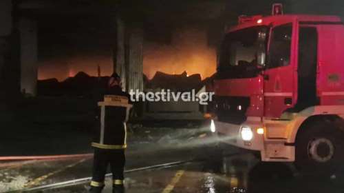 Ανατροπή με τη φωτιά σε εργοστάσιο αυγών: Vegan οργάνωση ανέλαβε την ευθύνη, αλλά η Πυροσβεστική δεν βλέπει εμπρησμό