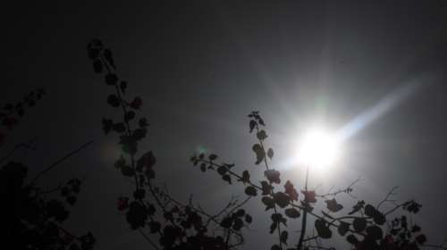 Σοκαριστική έκθεση: Πάνω από 20.000 θάνατοι στη Δυτική Ευρώπη από τους θερινούς καύσωνες