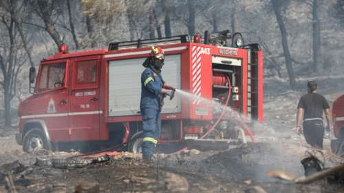 Φωτιά σε δασική έκταση στον Αλμυρό Μαγνησίας - Ενισχύθηκαν οι δυνάμεις