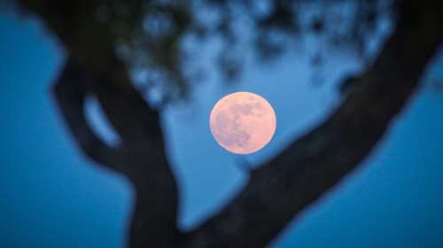 Πανσέληνος Ιουνίου 2023: Πότε θα λάμψει στον ουρανό το &quot;φεγγάρι της φράουλας&quot;