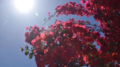 Καιρός: Γενικά αίθριος με τοπικές νεφώσεις στα βόρεια ηπειρωτικά