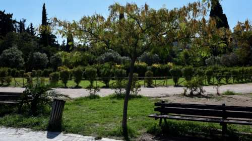 Ενα από τα μεγαλύτερα πάρκα των Μεσογείων &quot;γεννιέται&quot; στο Πανόραμα Παλλήνης [εικόνα]