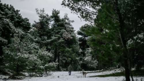 Κακοκαιρία Ελπίς: Πολικές θερμοκρασίες στην Αττική - Το χιόνι &#39;&#39;σκέπασε&#39;&#39; τα Βίλια [Βίντεο]