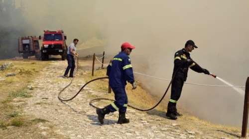 Φωτιά στη Θήβα – Στην κατάσβεση συμμετέχουν δύο αεροπλάνα και ένα ελικόπτερο