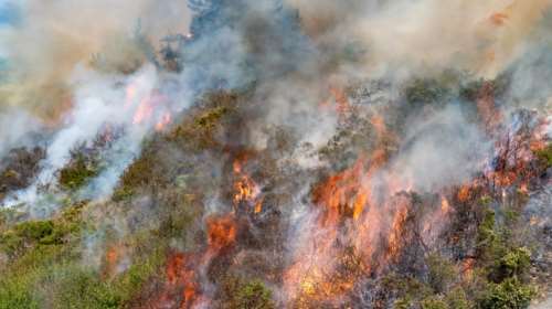 Φωτιά στους Φιλιάτες Φθιώτιδας: Επιχειρούν τέσσερα εναέρια μέσα - Μήνυμα του 112 για ετοιμότητα