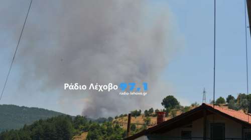 Μαίνεται η φωτιά στο Βαρικό Φλώρινας - Ενισχύθηκαν οι δυνάμεις - Εστάλη μήνυμα 112 [βίντεο-εικόνες]