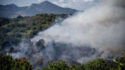 Σε ύφεση η πυρκαγιά στη Βρυσούλα Πρέβεζας