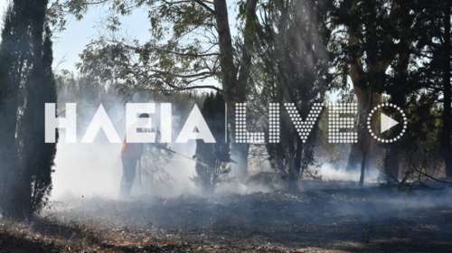 Συναγερμός στην Ηλεία - Πυρκαγιά στο δάσος των Θινών [Εικόνες]