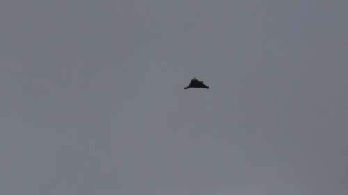 Πόλεμος στην Ουκρανία: Ρωσικά UAVs πλήττουν στρατιωτικούς στόχους στην Οδησσό