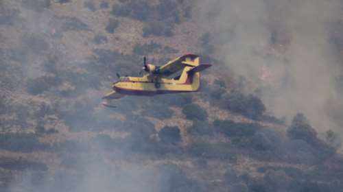 Φωτιά στο Δίστομο Βοιωτίας: Στη μάχη με τις φλόγες δύο αεροσκάφη, τρία ελικόπτερα, 50 πυροσβέστες [Εικόνες, βίντεο]
