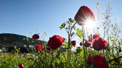 Μερομήνια 2025: Πώς θα είναι ο καιρός το Πάσχα και την Πρωτομαγιά