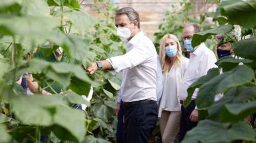 Η &quot;αποκάλυψη&quot; του Κυριάκου Μητσοτάκη: Οταν ο Ελεύθεριος Βενιζέλος είπε στον πατέρα του να σπουδάσει γεωπόνος