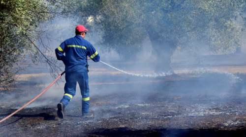 Ωρωπός: Φωτιά στον οικισμό Μετέωρα - Πού έχει διακοπεί η κυκλοφορία