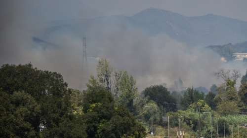 Φωτιά σε δασική έκταση στο Παρανέστι Δράμας