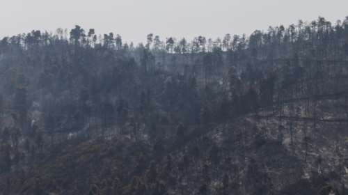 Πυρκαγιές: Κάηκαν πάνω από 1 εκατ. στρέμματα μέσα σε δύο εβδομάδες - Περίπου τα μισά στην Εύβοια