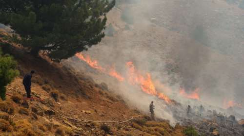 Φωτιές: Καλύτερη η εικόνα σε Αχαΐα και Χαλκιδική – Συνεχίζεται η μάχη με τις φλόγες στη Χίο