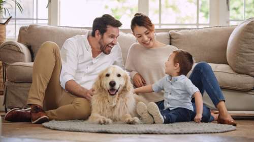 Εμπιστευτήκαμε την Εθνική Τράπεζα για την ασφάλεια του σπιτιού μας και νιώθουμε ήρεμοι και ασφαλείς