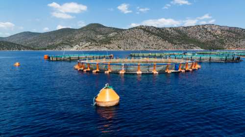 ΕΛΟΠΥ: Τιμητική διάκριση στο 7ο Συμπόσιο Ιατρικού Τουρισμού Υγείας και Ευεξίας