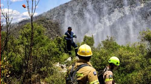 Φωτιά τώρα σε δασική έκταση στη Καμηλόβρυση Λαμίας