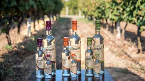 Οικογένεια Δεκαράκι: Η απόσταξη του μονοποικιλιακού τσίπουρου ξεκινά