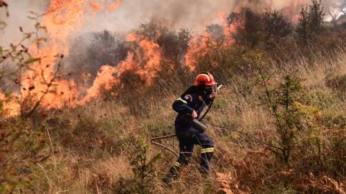Πυρκαγιά σε δασική έκταση στα όρια Λάρισας–Πιερίας
